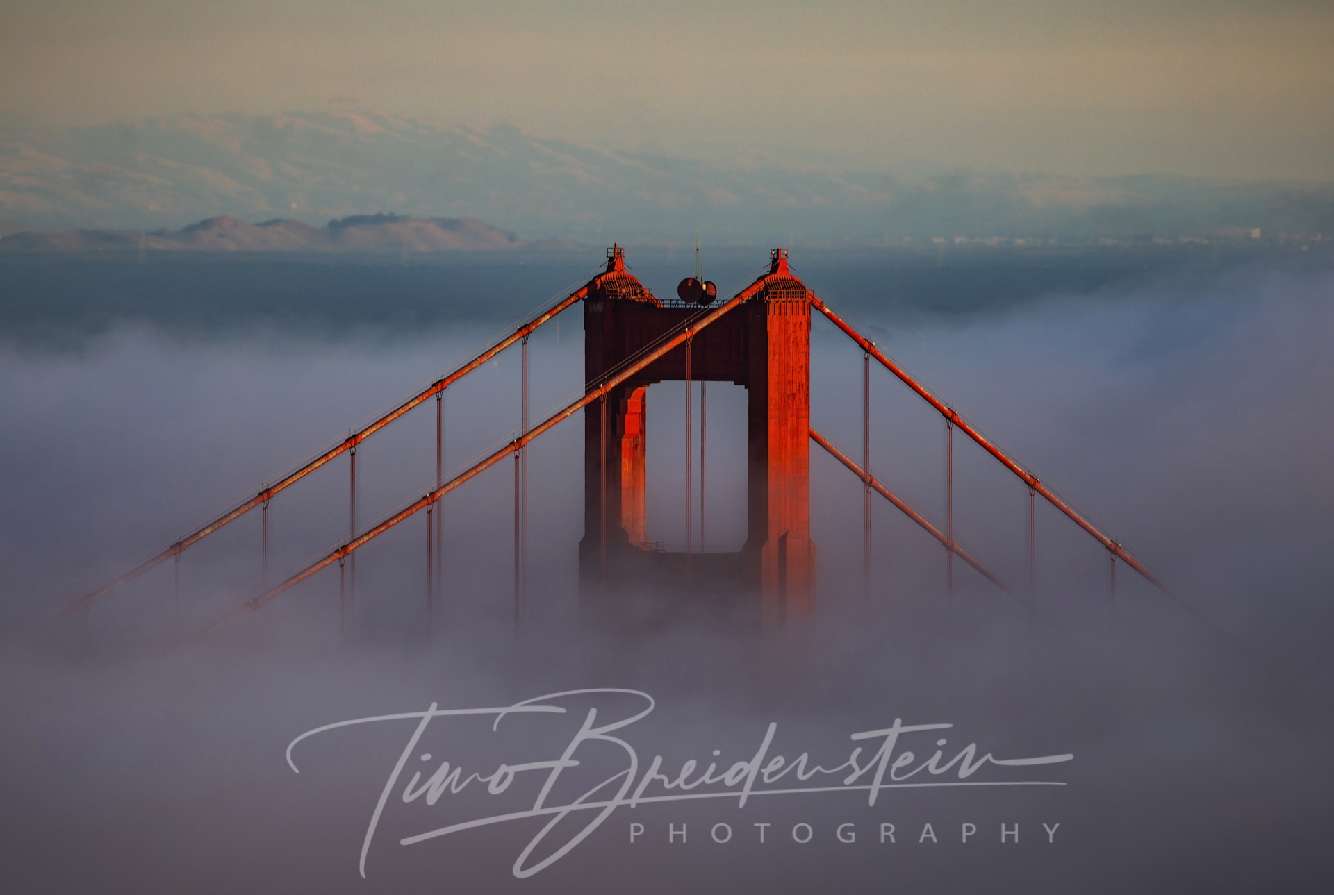 20241013 2N8A8755 Kopie 2